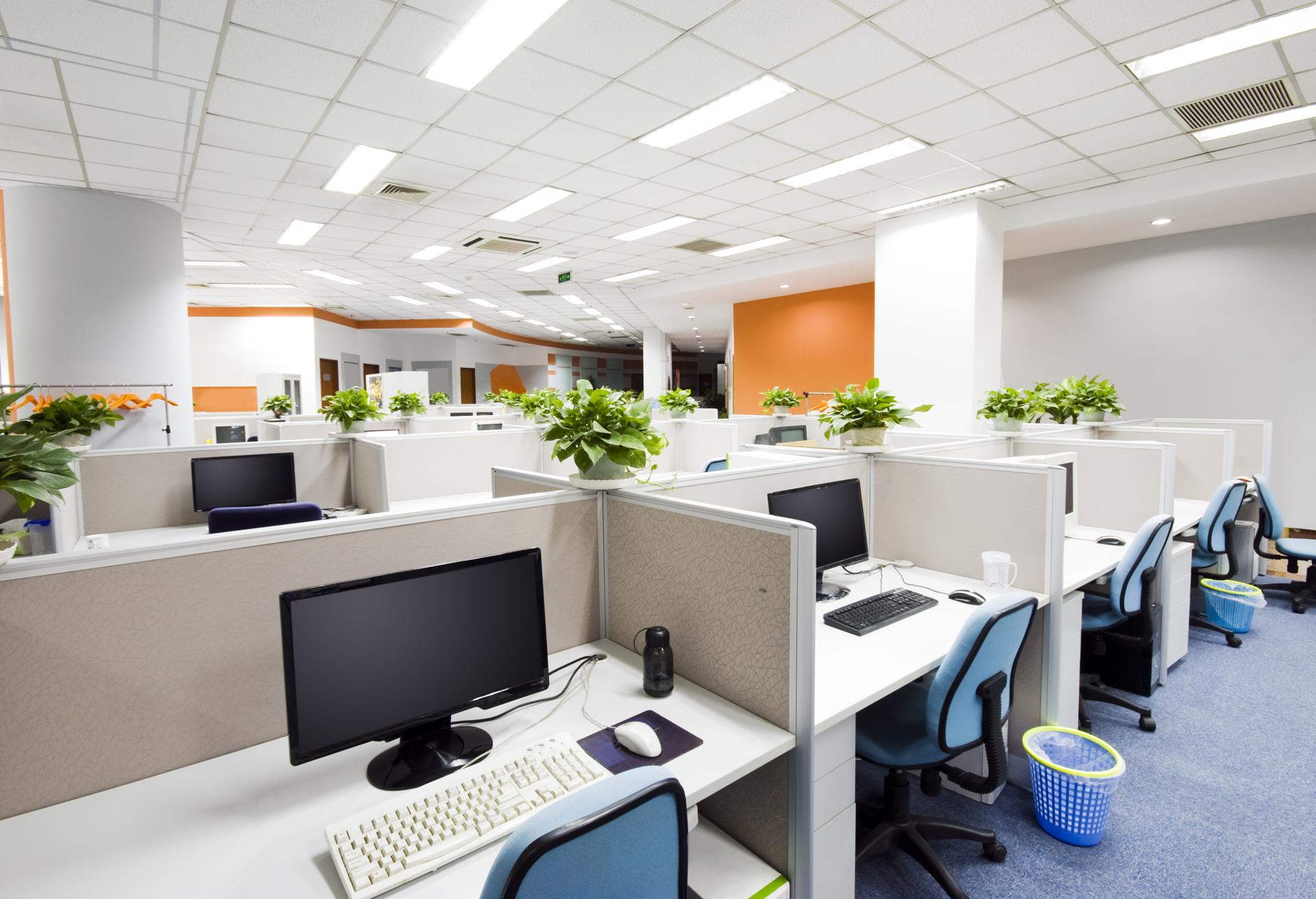 Expert Commercial Office Cleaning Services in Cannon Hill